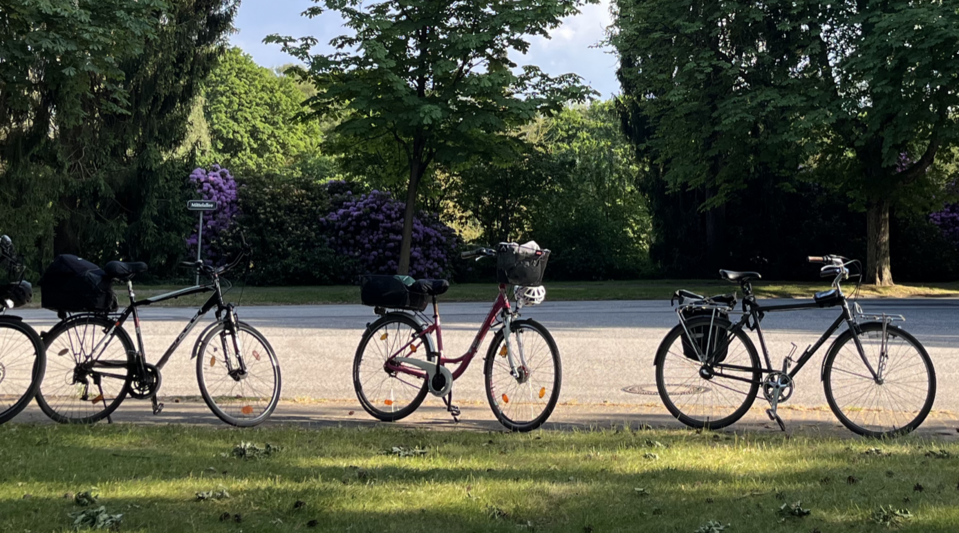 Mit dem Rad in die Natur Fahrräder draußen